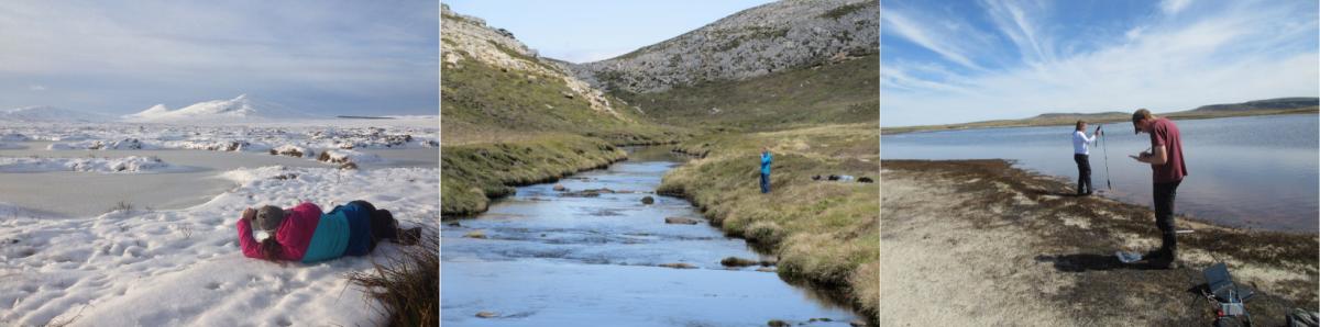 Composite of three images showing researchers undertaking field work.